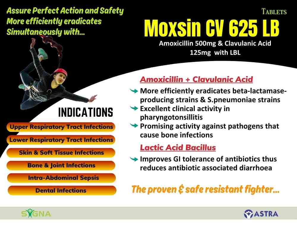 Amoxycillin + Clavulanic Acid + Lactobacillus